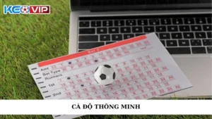 Cá Độ Thông Minh Là Gì? Keonhacai Chia Sẻ Chiến Lược Hiệu Quả