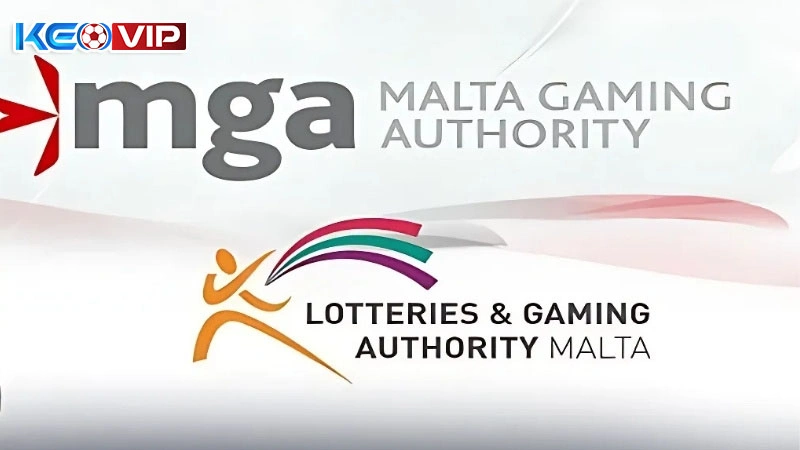 Giấy phép hợp pháp từ Malta khẳng định uy tín nền tảng 