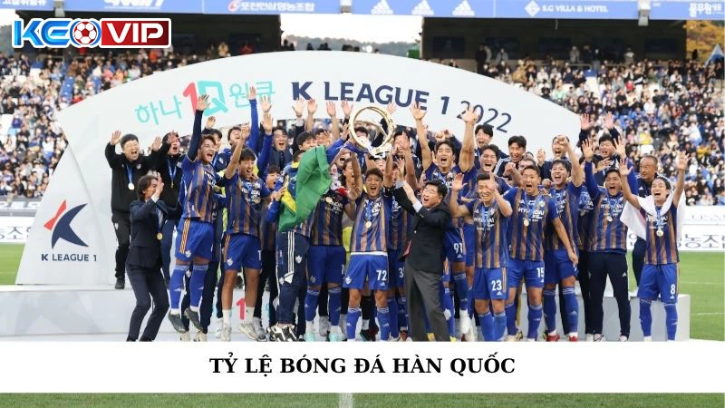 Tỷ Lệ Bóng Đá Hàn Quốc Chuẩn Xác Cùng Keonhacai 2025